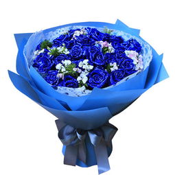蓝色妖姬玫瑰花代表什么[蓝色妖姬玫瑰花代表什么意思呢]