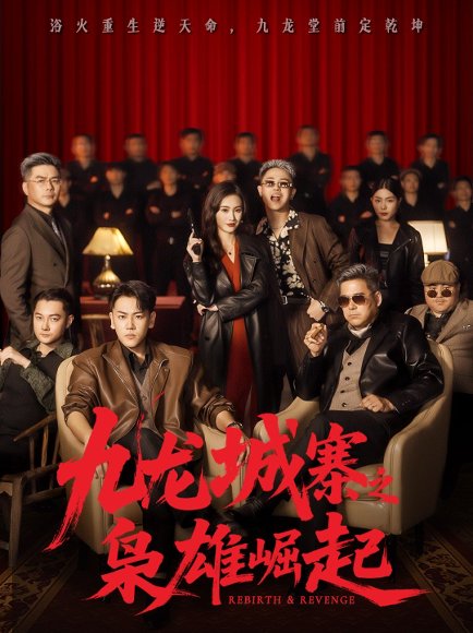 九龙城寨之枭雄崛起＆九龙局中局（71集）龙泽＆南音 高清完整版