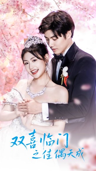 双喜临门之佳偶天成（42集）刘浔 高清完整版