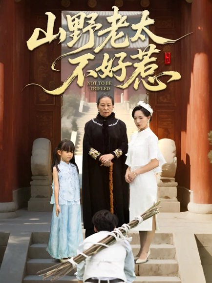 山野老太不好惹＆奶奶一脚震全城（64集）徐绍航 高清完整版