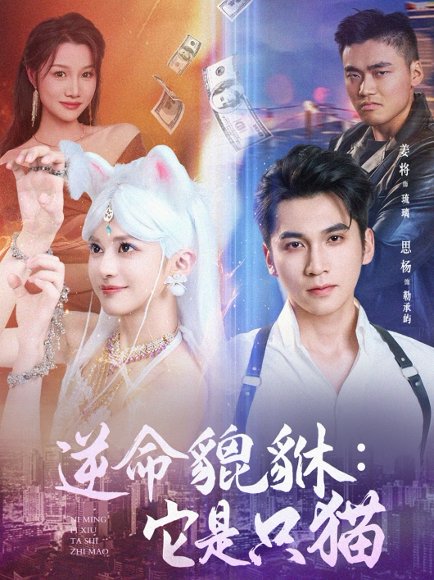 逆命貔貅它是只猫（35集）姜将 高清完整版