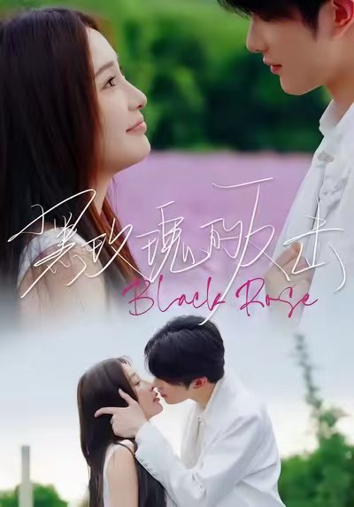 黑玫瑰的反击（47集）裘哲夫＆焦娇 高清完整版